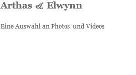 Arthas & Elwynn Eine Auswahl an Photos und Videos